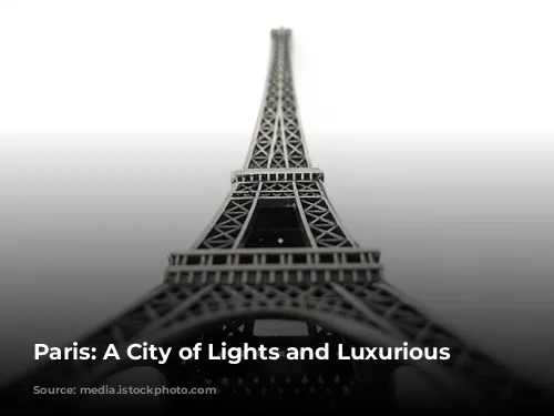 Paris: A City of Lights and Luxurious Stays