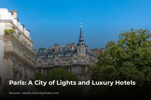 Paris: A City of Lights and Luxury Hotels