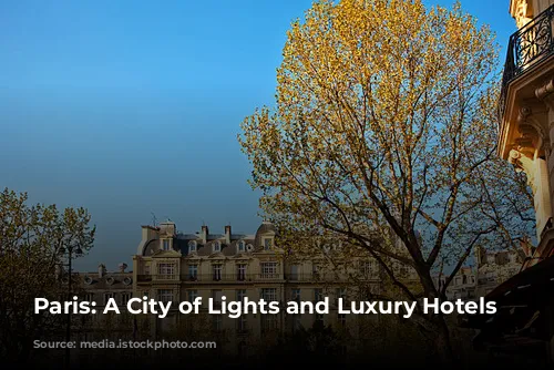 Paris: A City of Lights and Luxury Hotels