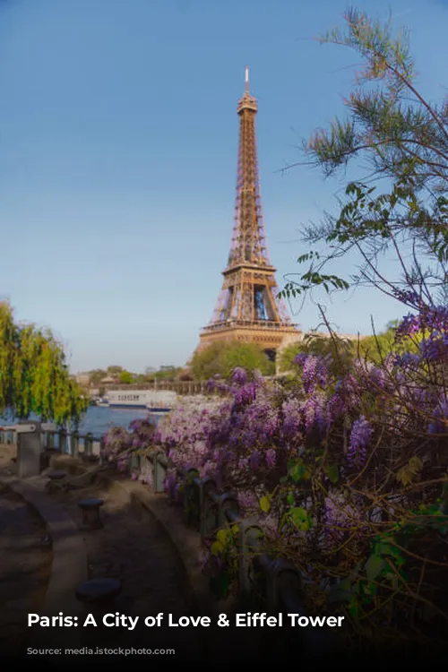 Paris: A City of Love & Eiffel Tower Views