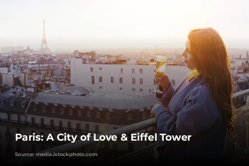 Paris: A City of Love & Eiffel Tower Views