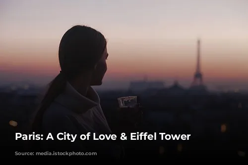 Paris: A City of Love & Eiffel Tower Views