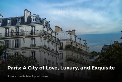 Paris: A City of Love, Luxury, and Exquisite Dining