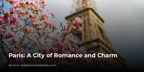 Paris: A City of Romance and Charm