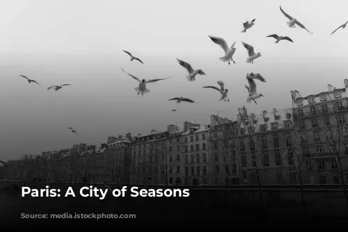 Paris: A City of Seasons