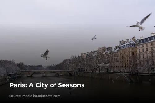 Paris: A City of Seasons