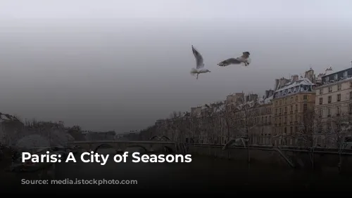 Paris: A City of Seasons