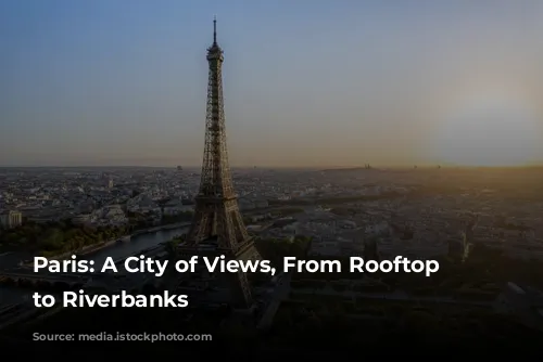 Paris: A City of Views, From Rooftop Terraces to Riverbanks