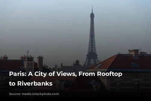 Paris: A City of Views, From Rooftop Terraces to Riverbanks