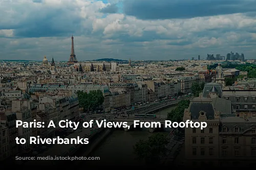 Paris: A City of Views, From Rooftop Terraces to Riverbanks