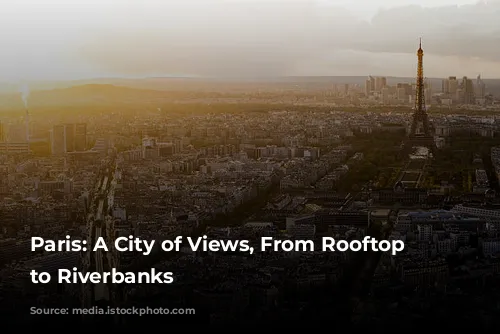 Paris: A City of Views, From Rooftop Terraces to Riverbanks