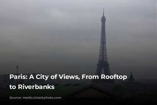 Paris: A City of Views, From Rooftop Terraces to Riverbanks