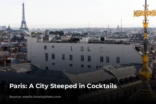 Paris: A City Steeped in Cocktails