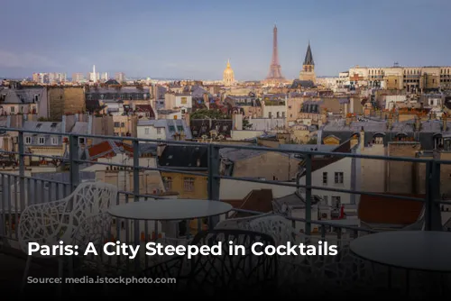 Paris: A City Steeped in Cocktails