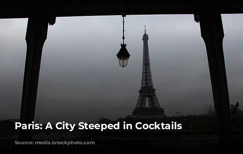 Paris: A City Steeped in Cocktails