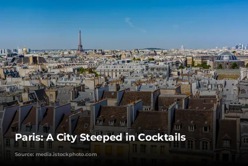 Paris: A City Steeped in Cocktails