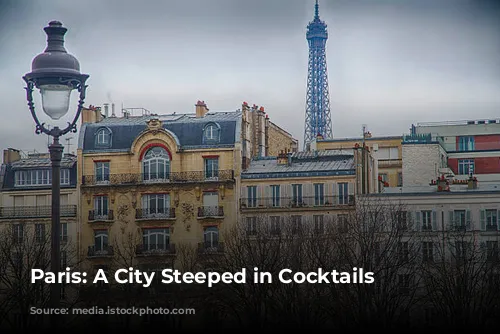 Paris: A City Steeped in Cocktails