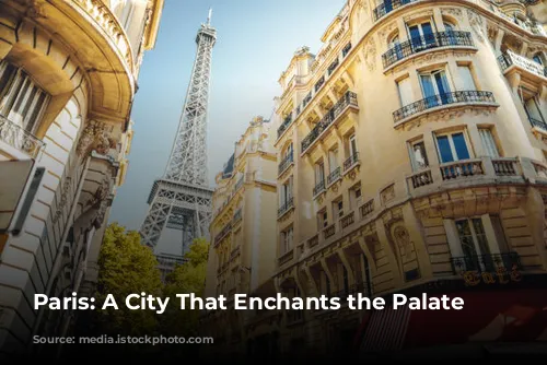 Paris: A City That Enchants the Palate