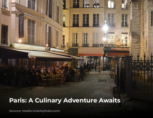 Paris: A Culinary Adventure Awaits