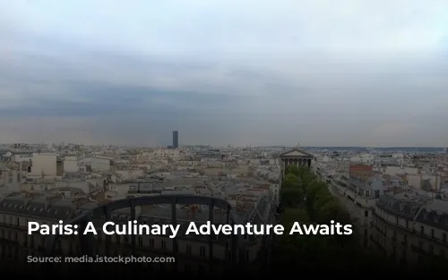 Paris: A Culinary Adventure Awaits