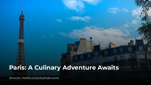 Paris: A Culinary Adventure Awaits