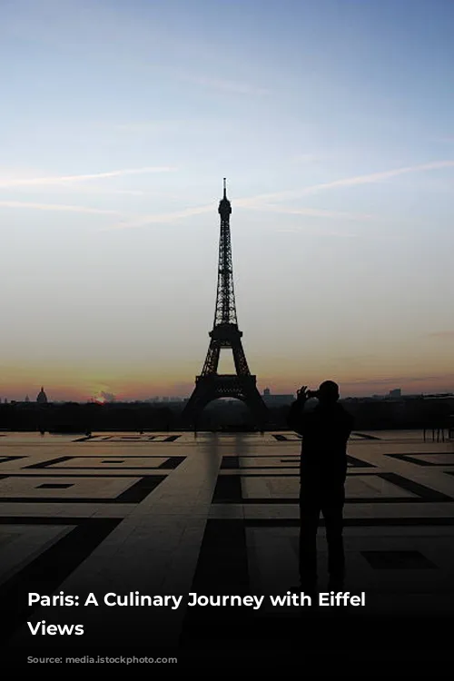 Paris: A Culinary Journey with Eiffel Tower Views