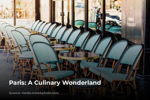 Paris: A Culinary Wonderland