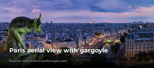 Paris aerial view with gargoyle