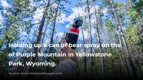 Holding up a can of bear spray on the top of Purple Mountain in Yellowstone National Park, Wyoming.