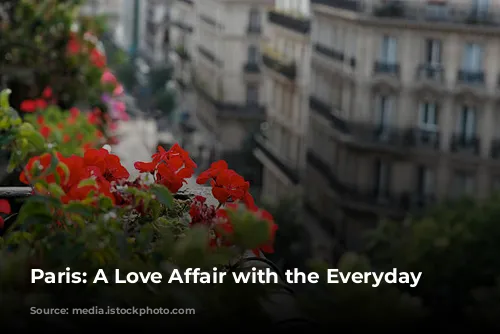 Paris:  A Love Affair with the Everyday