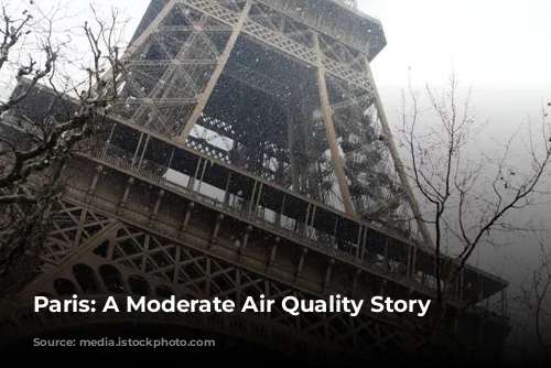 Paris: A Moderate Air Quality Story