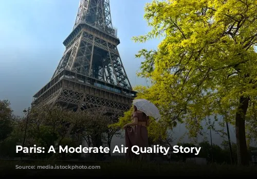 Paris: A Moderate Air Quality Story