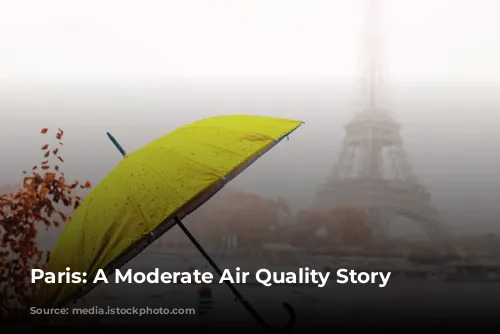 Paris: A Moderate Air Quality Story