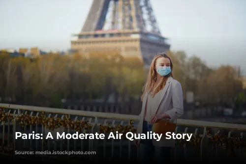 Paris: A Moderate Air Quality Story