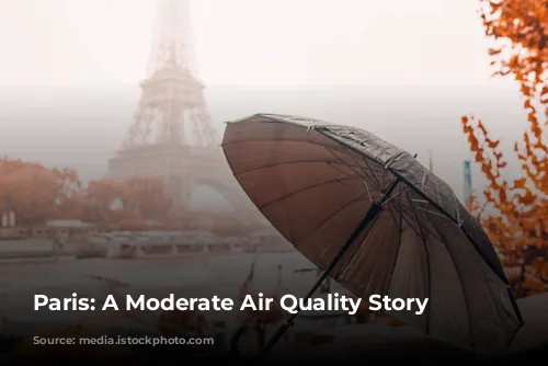 Paris: A Moderate Air Quality Story