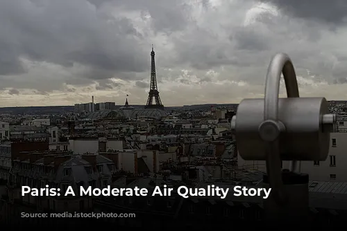 Paris: A Moderate Air Quality Story