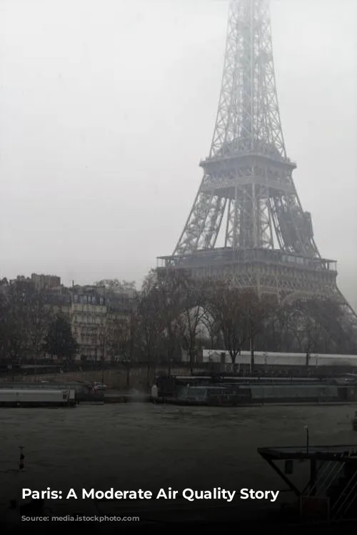 Paris: A Moderate Air Quality Story