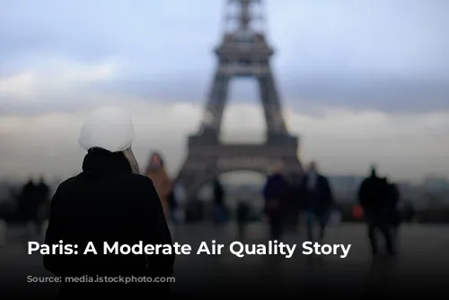 Paris: A Moderate Air Quality Story