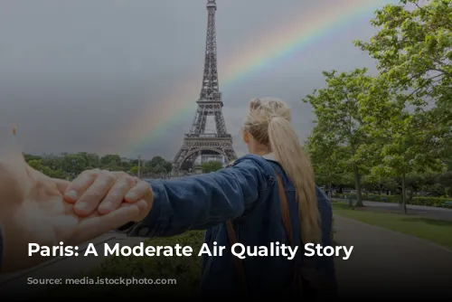 Paris: A Moderate Air Quality Story