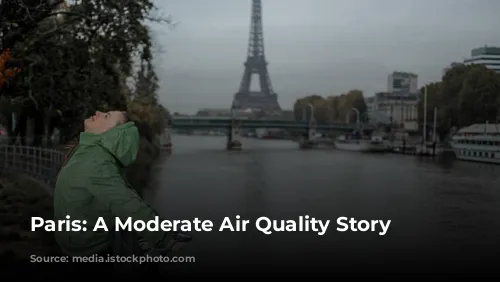 Paris: A Moderate Air Quality Story