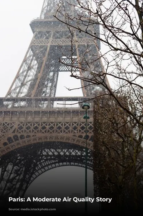 Paris: A Moderate Air Quality Story