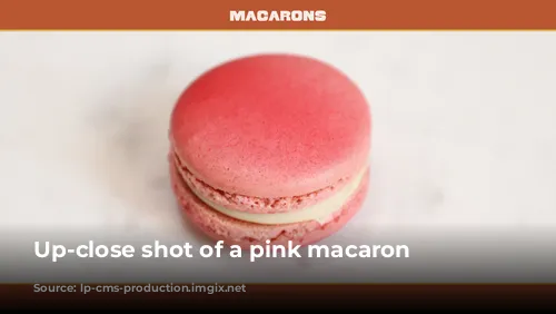 Up-close shot of a pink macaron