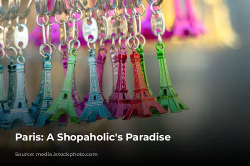 Paris: A Shopaholic's Paradise