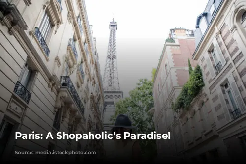 Paris: A Shopaholic's Paradise!