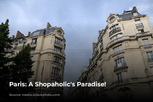 Paris: A Shopaholic's Paradise!