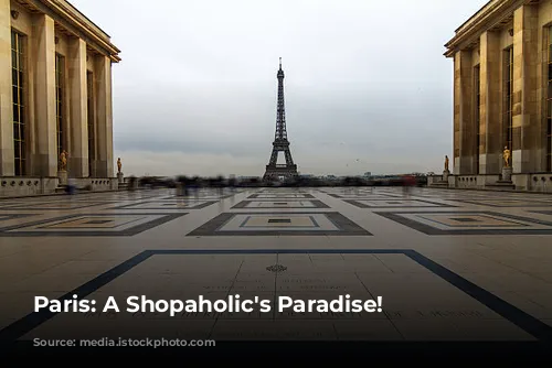 Paris: A Shopaholic's Paradise!