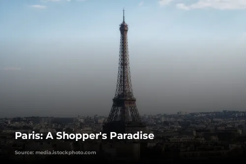 Paris: A Shopper's Paradise