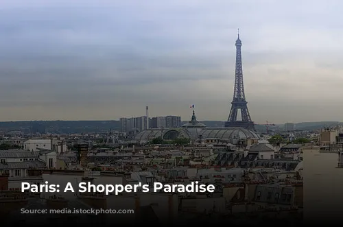 Paris: A Shopper's Paradise