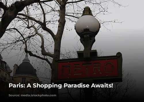 Paris: A Shopping Paradise Awaits!