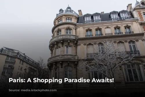 Paris: A Shopping Paradise Awaits!